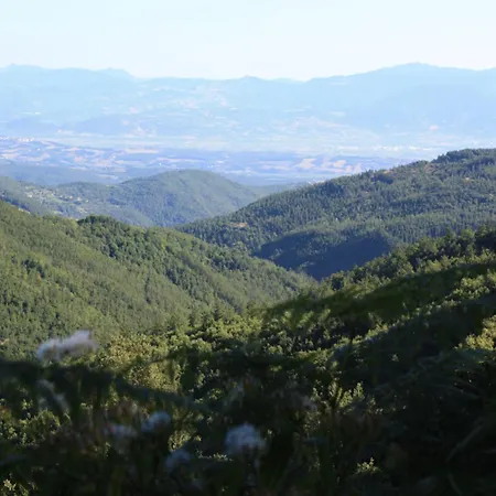 In Umbria Near Palazzo Bourbon