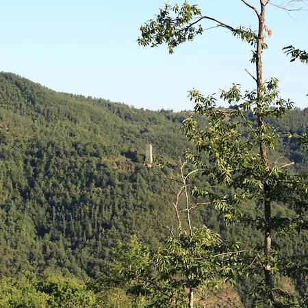 In Umbria Near Palazzo Bourbon * Monte Santa Maria Tiberina
