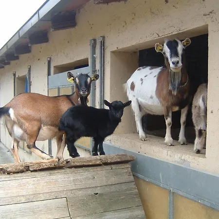 In Umbria Near Palazzo Bourbon