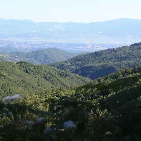 펜션 In Umbria Near Palazzo Bourbon *
