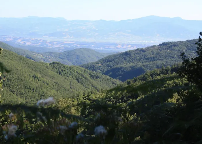 In Umbria Near Palazzo Bourbon