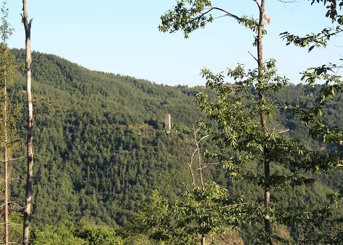In Umbria Near Palazzo Bourbon * Monte Santa Maria Tiberina