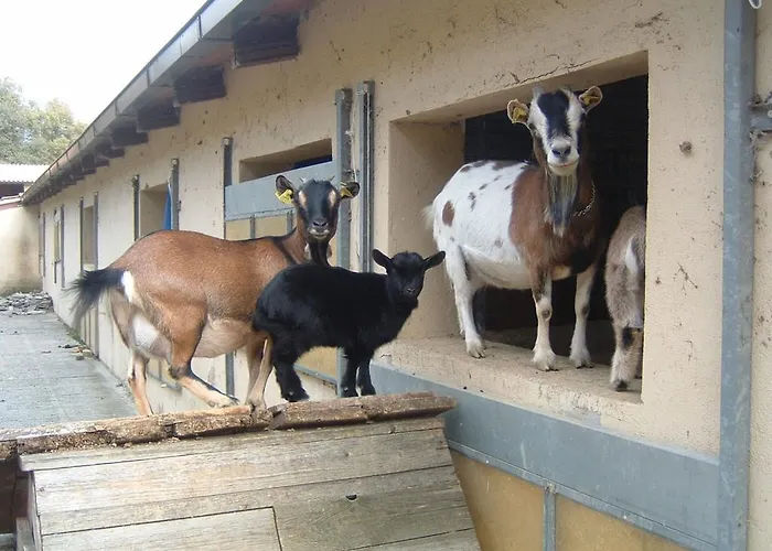 In Umbria Near Palazzo Bourbon