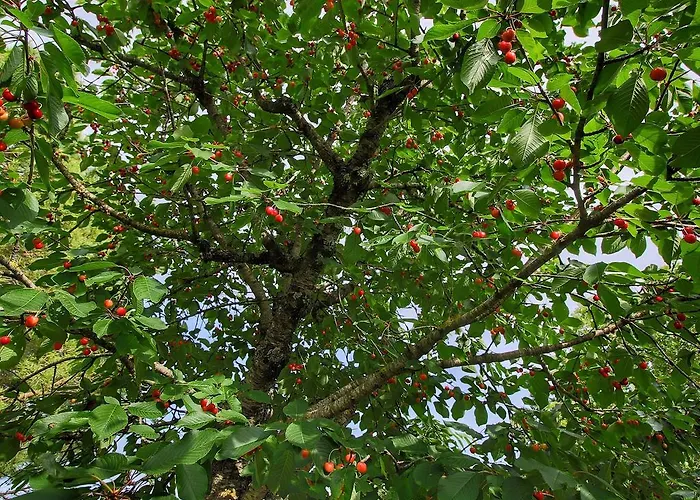 Prázdninový dům In Umbria Near Palazzo Bourbon